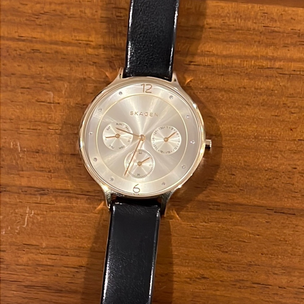 Skagen Watch skw2393